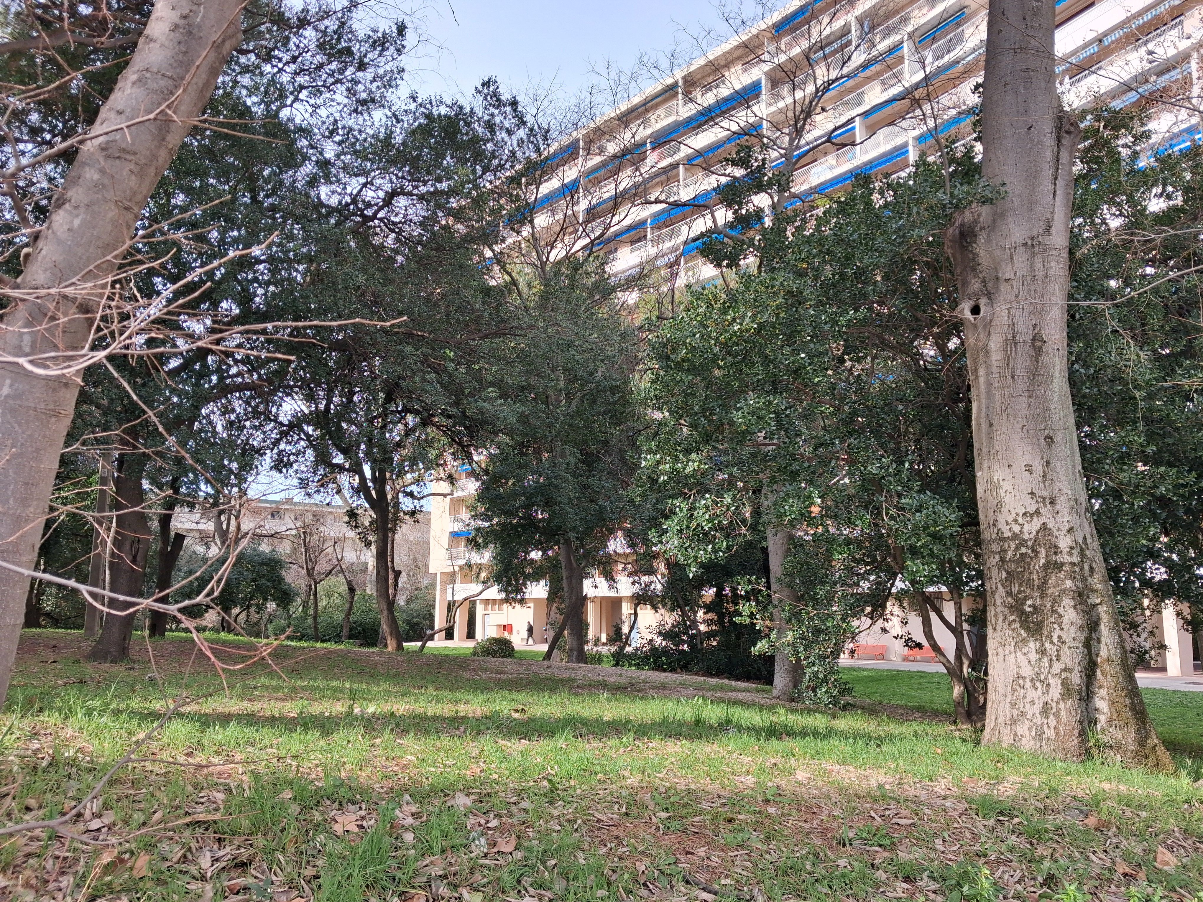 Appartement - TOULON