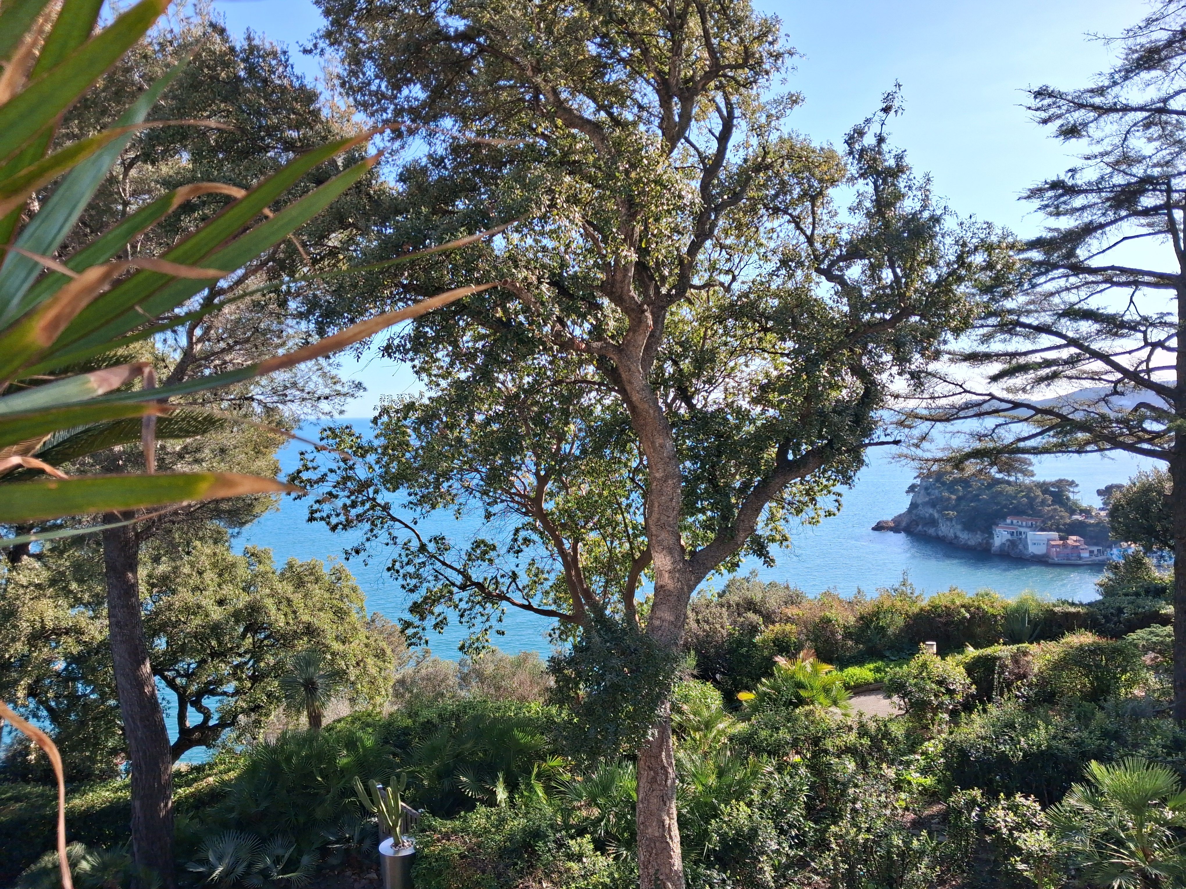 Appartement - TOULON